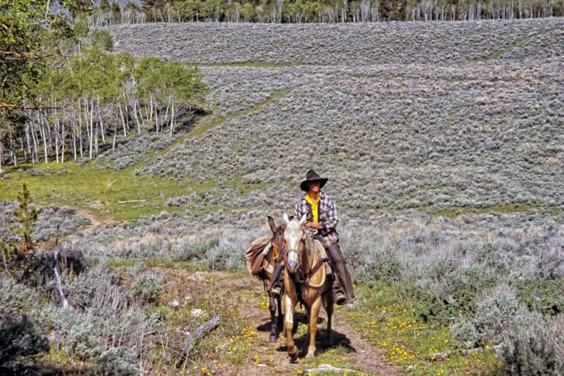 Cowboy with pack horse