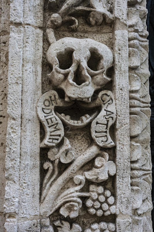 Skull