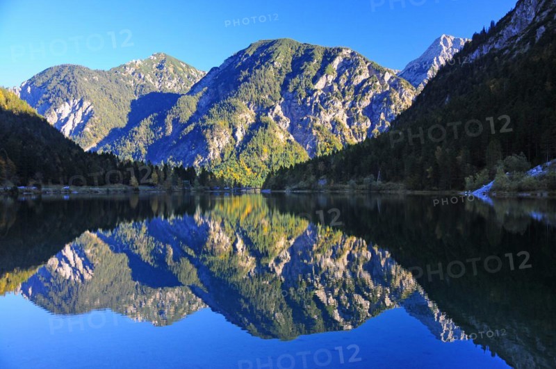 Plansee