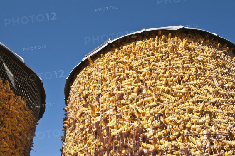 Corn storage bin