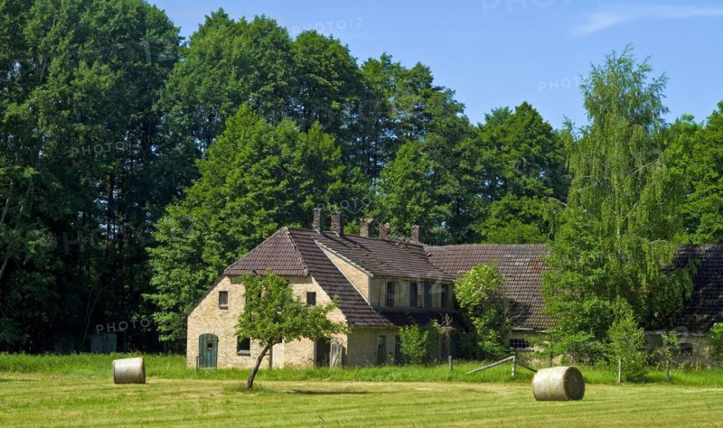 Mecklenburg-Western Pomerania Mecklenburg Lake District Mueritz National Park Abandoned farm near Speck