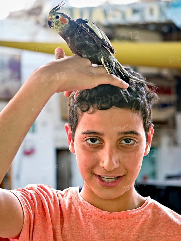 Young man looking directly into the camera with parakeet on his head Aqaba