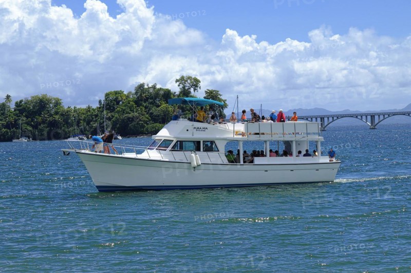 Whale watching boat