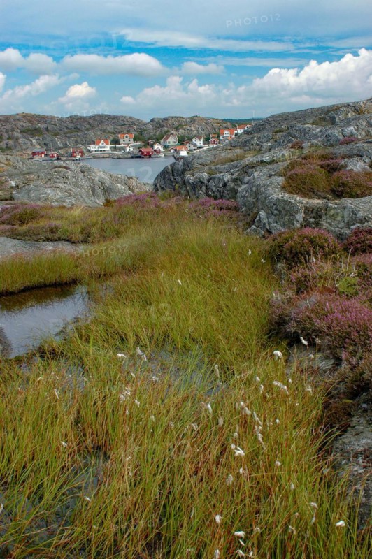 Holiday homes on the western Swedish island of Tjoern