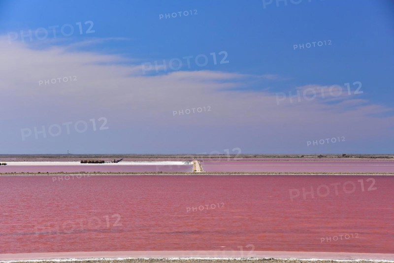 Salt extraction at the Giraud seawater saltworks in the Camargue