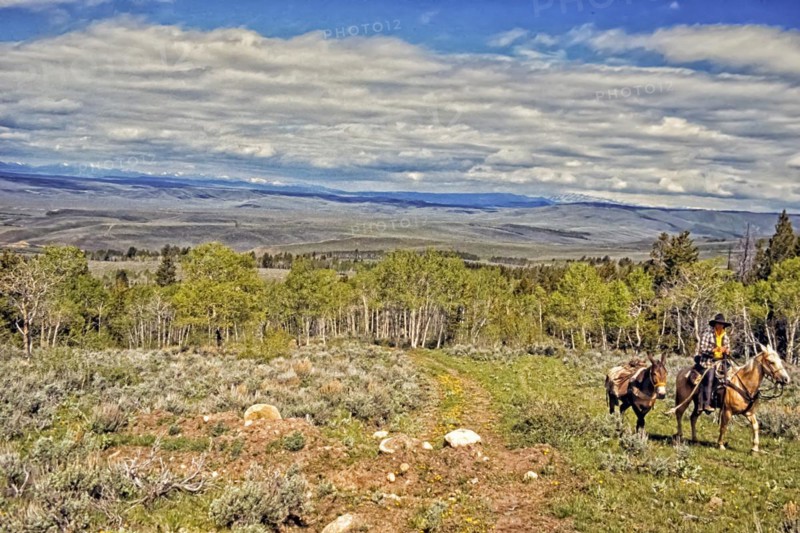 Cowboy with pack mule