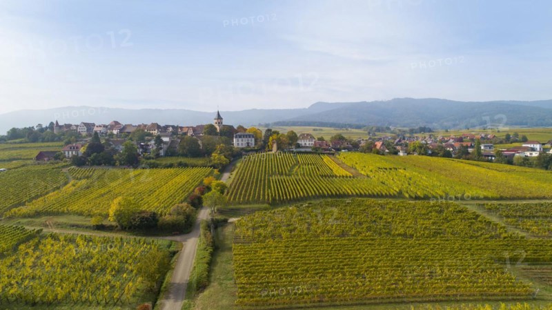View over the vineyards to Zellenberg in Alsace
