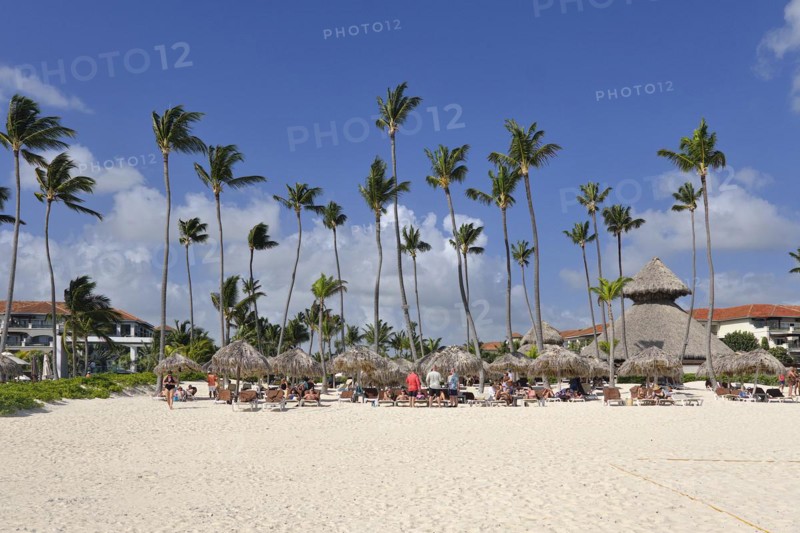 Palm leaf bar and parasols