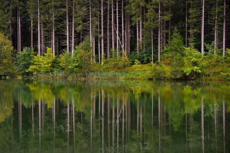 Hochwald reflected in a lake
