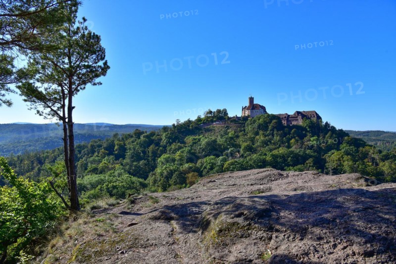 View from the Metilstein to the Wartburg near Eisenach in Thuringia