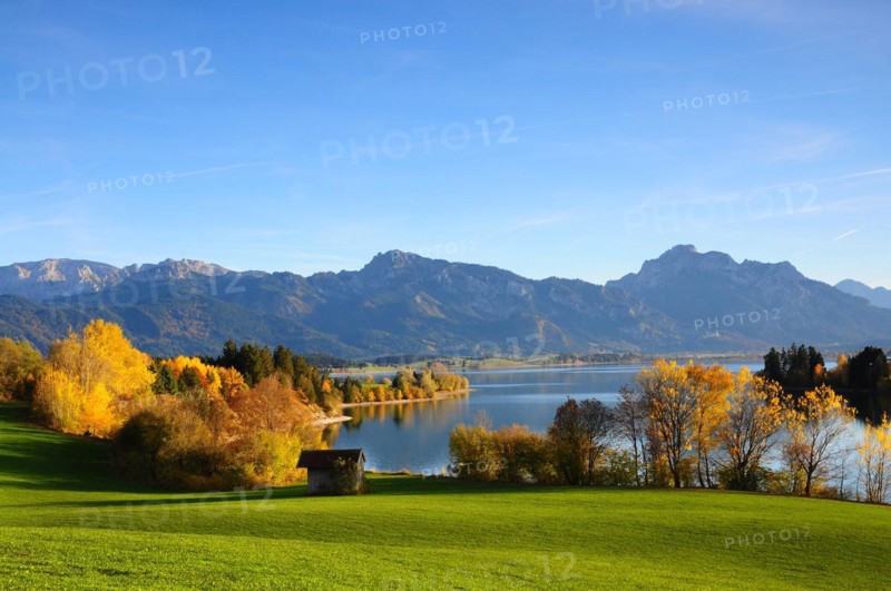 Forggensee