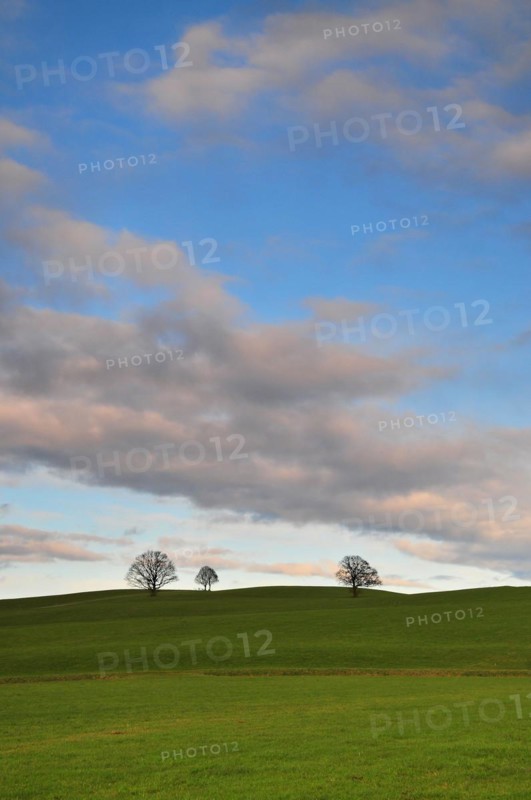 Hilly landscape in the Bavarian foothills of the Alps near Steingaden in Allgaeu