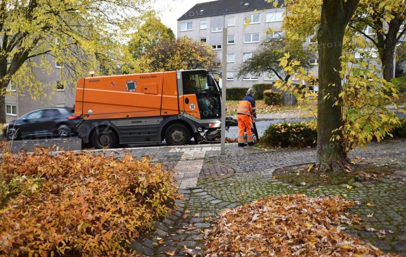Sweeper sweeps leaves in autumn