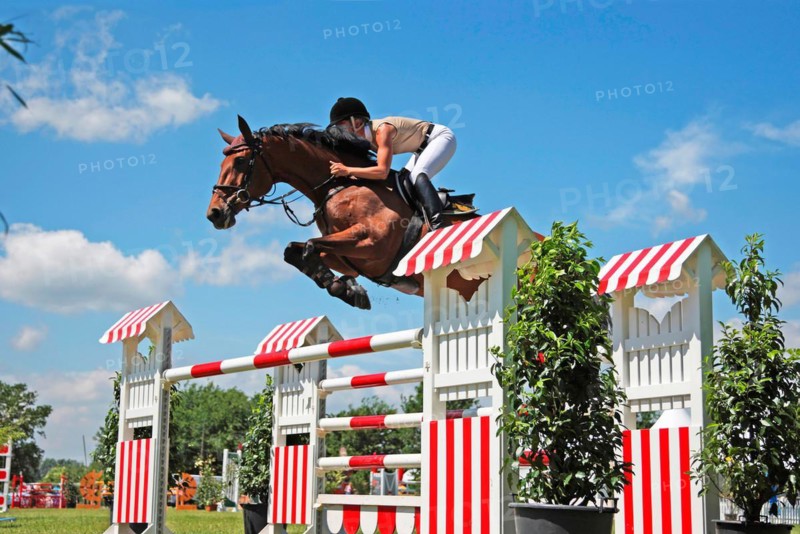 Show Jumping