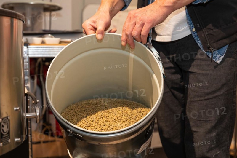 Green coffee in buckets