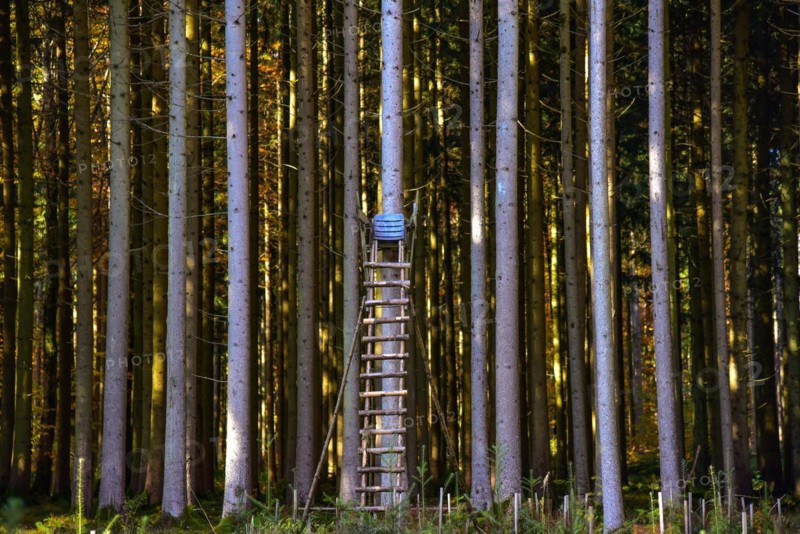 Hunters stand in a forest in Bavaria
