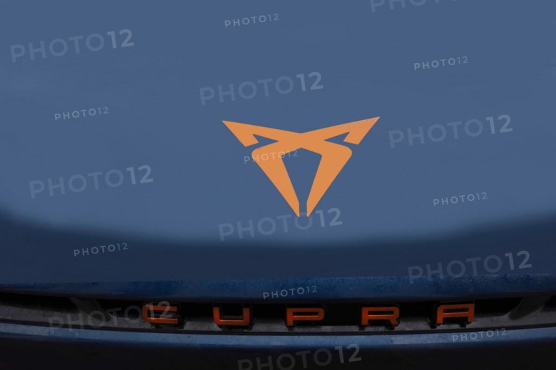Logo of the Cubra car