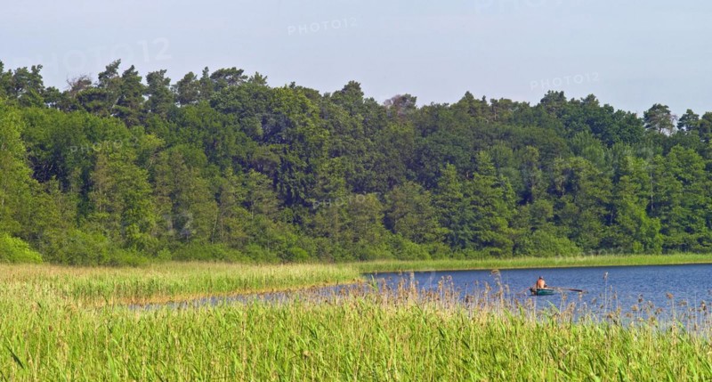 Mecklenburg-Western Pomerania