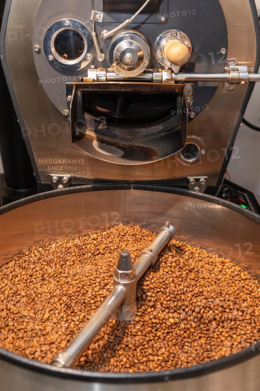 Roasted coffee is poured from the roasting drum into the cooling kettle