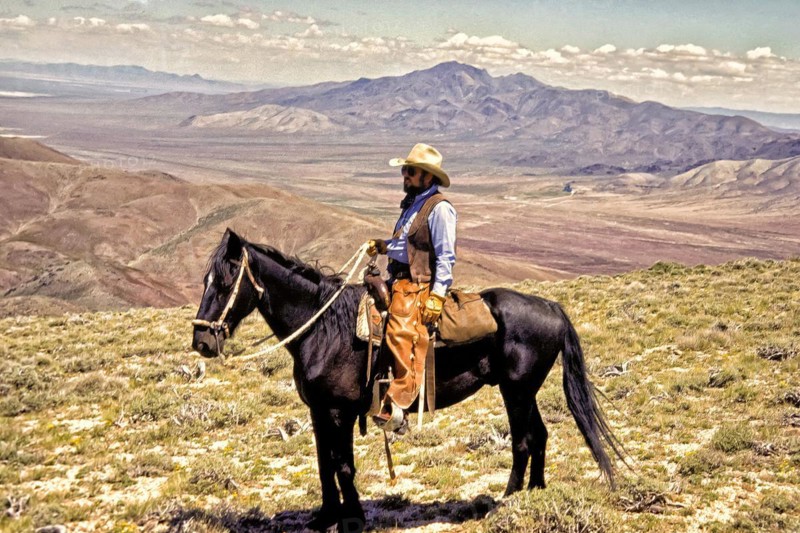 Cowboy with chaps