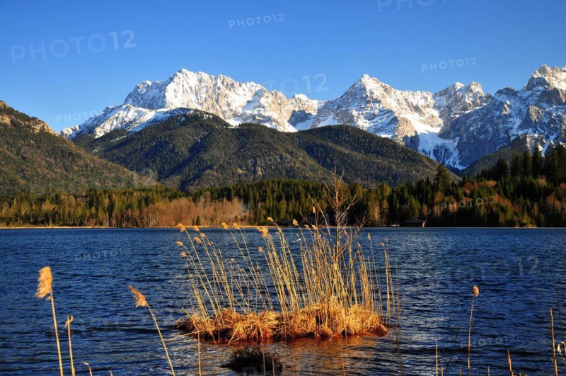 Reed island in the Barmsee lake in Upper Bavaria