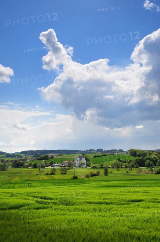 Maria pear tree Pilgrimage Church in Wittelsbach Land
