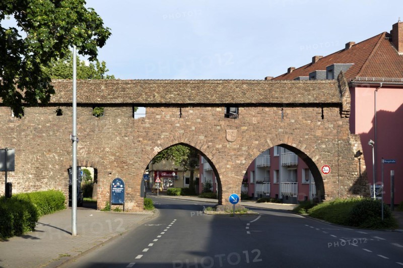 Nibelungen Museum