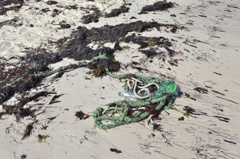 Dirty beach with seaweed