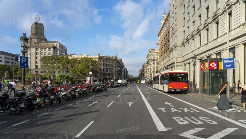 Bus Lane