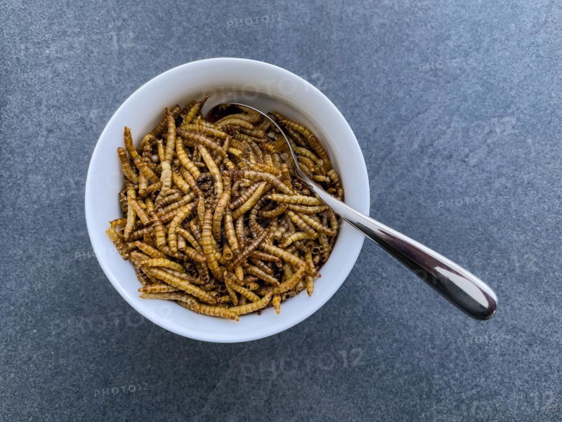 Bowl with dessert spoon in it Snack food Food made from insects Mealworms dried larvae of yellow mealworm
