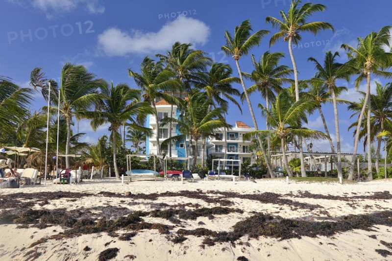 Beach polluted with seaweed in front of a resort
