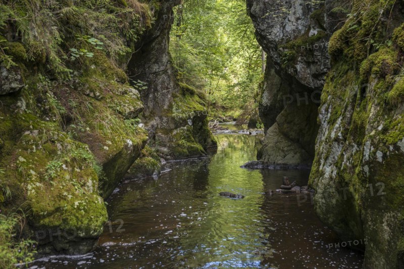 Haslachschlucht