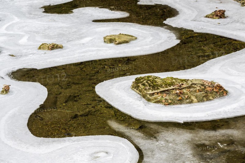 Forms and structures of ice on water