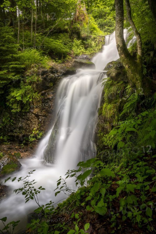 The Stuebenbach stream and part of the Todtnau waterfall in the forest