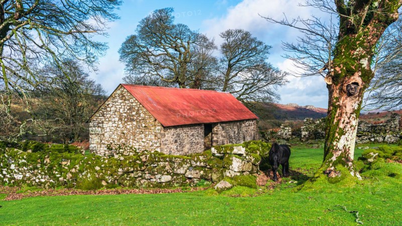 Panorama of Emsworthy Mire