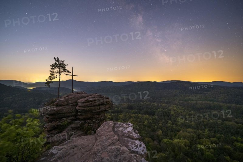 Palatinate Forest