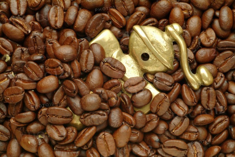 Roasted coffee beans