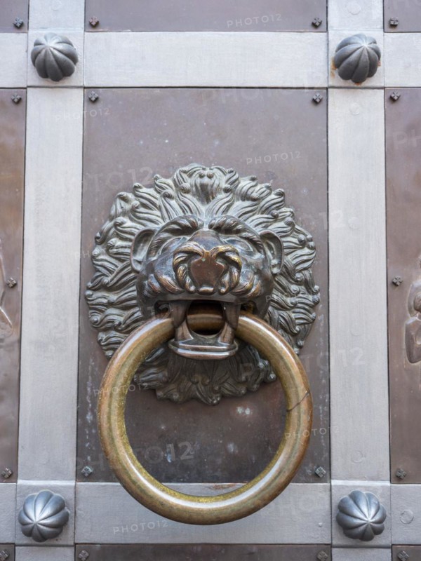 Lions head