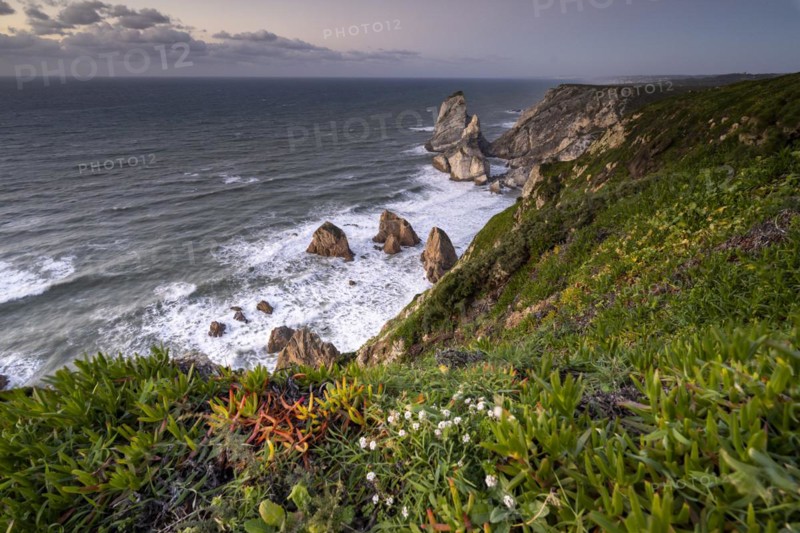 Sunset on the cliff with rocks in the sea