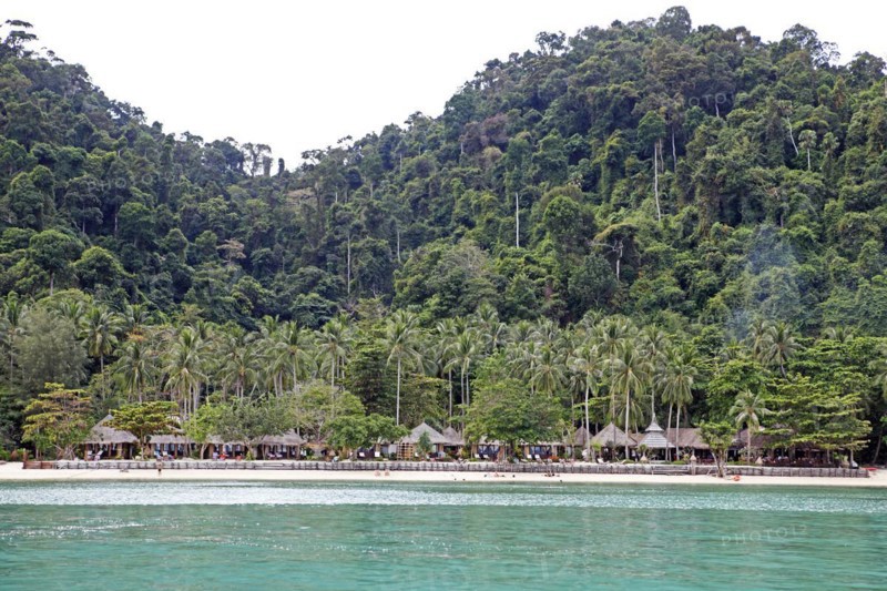Sandy beach beach