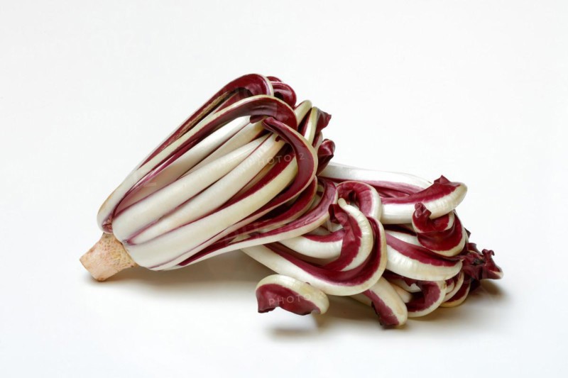 Radicchio