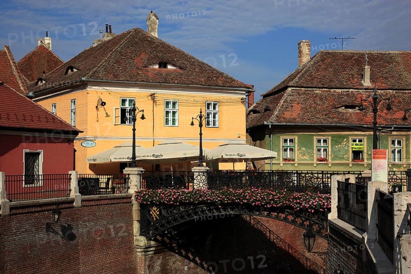 Bridge of Lies