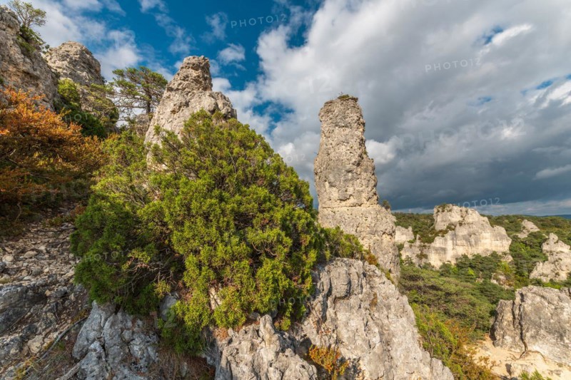Rocky peak in the chaos site of Montpellier in the Cevenes. Milllau