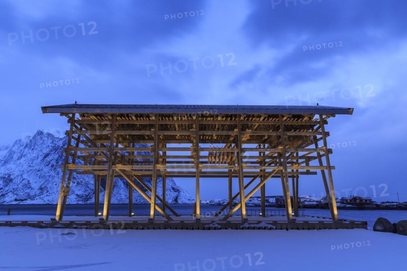 Fish rack for drying cod