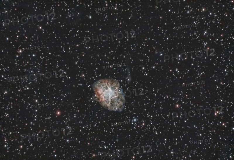 M1