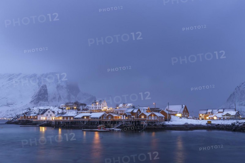 Yellow rorbuer in winter