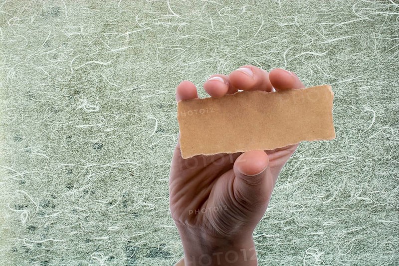 Hand holding a piece of blank torn notepaper