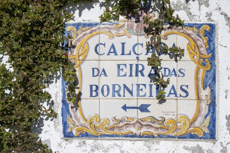 Typical Portuguese tiles