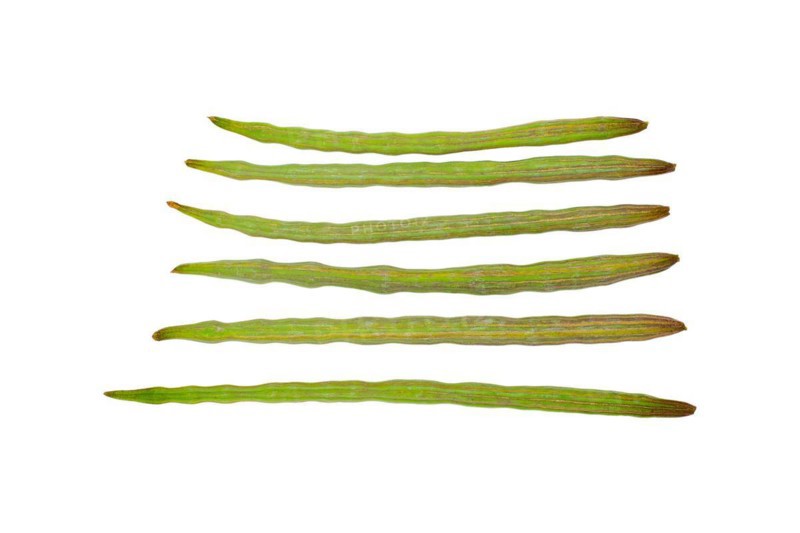 Moringa