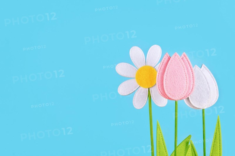 Felt tulip and daisy spring flowers on side of blue background with copy space